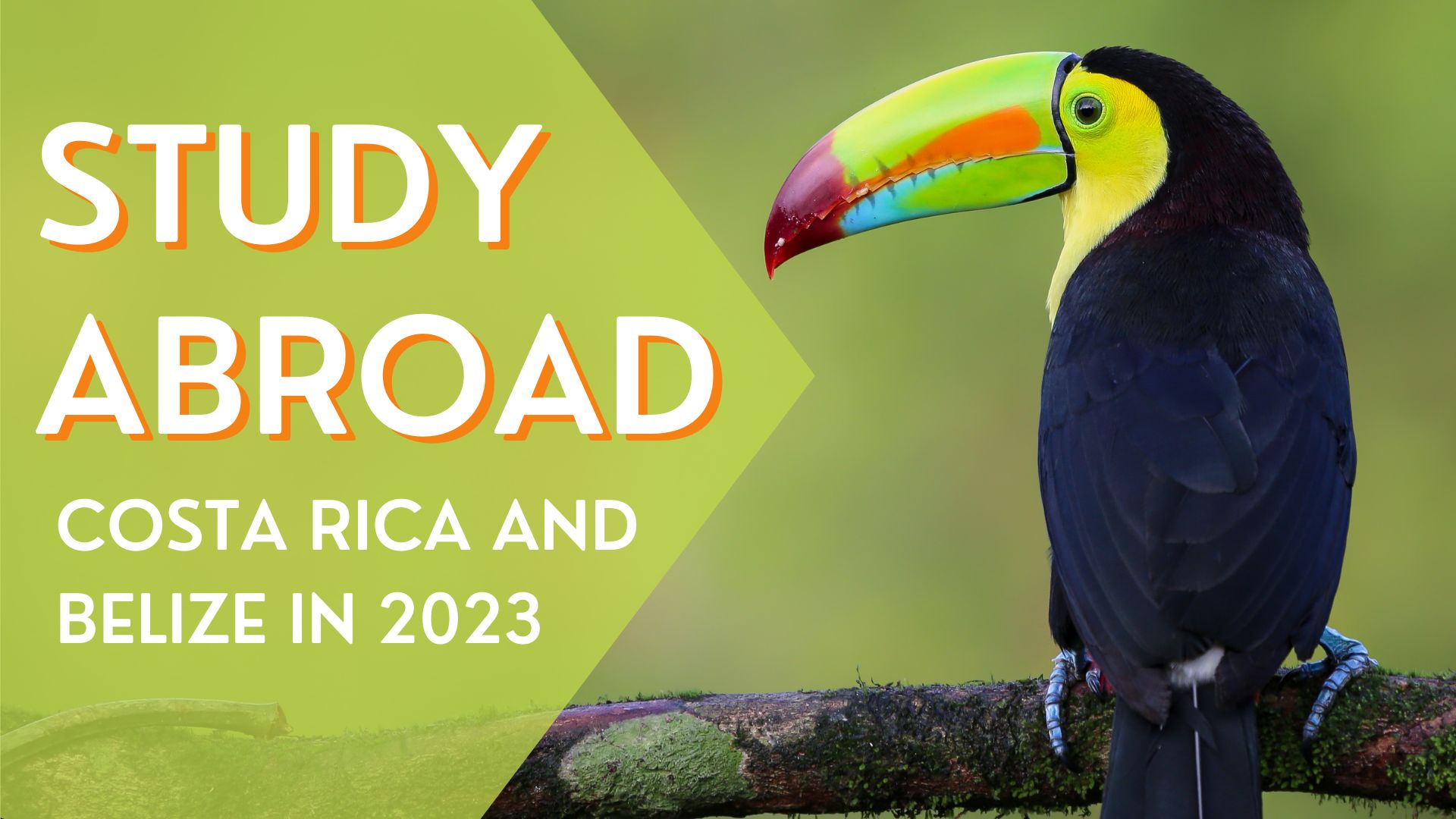 Study abroad in Costa Rica or Belize