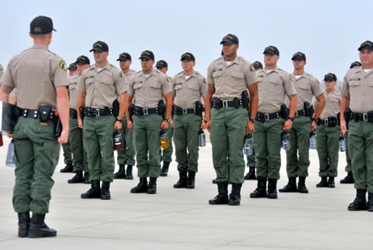 Social and Behavioral Sciences