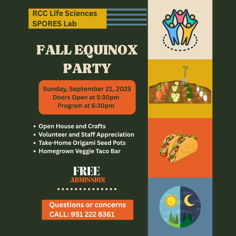 equinoxflyer