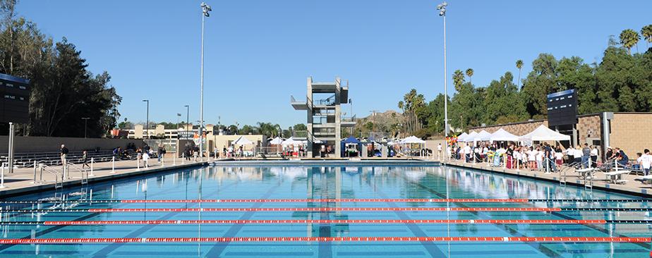 Olympic Pool Cropped