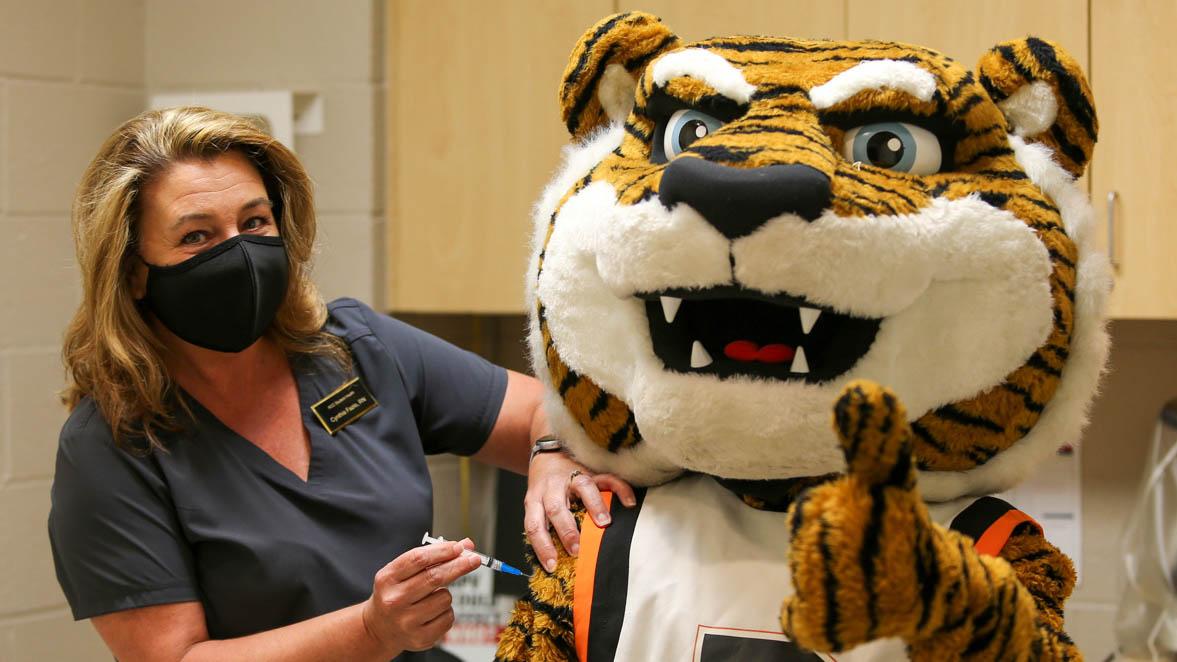 Riverside City College tiger mascot receiving a vaccination
